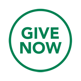 Give-Now-Button